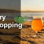 O que é e Como Fazer o Dry Hopping na Cerveja