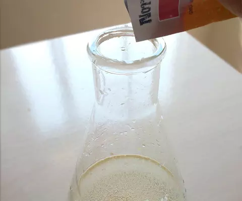 Aprenda a inocular corretamente a levedura para a fermentação da sua cerveja
